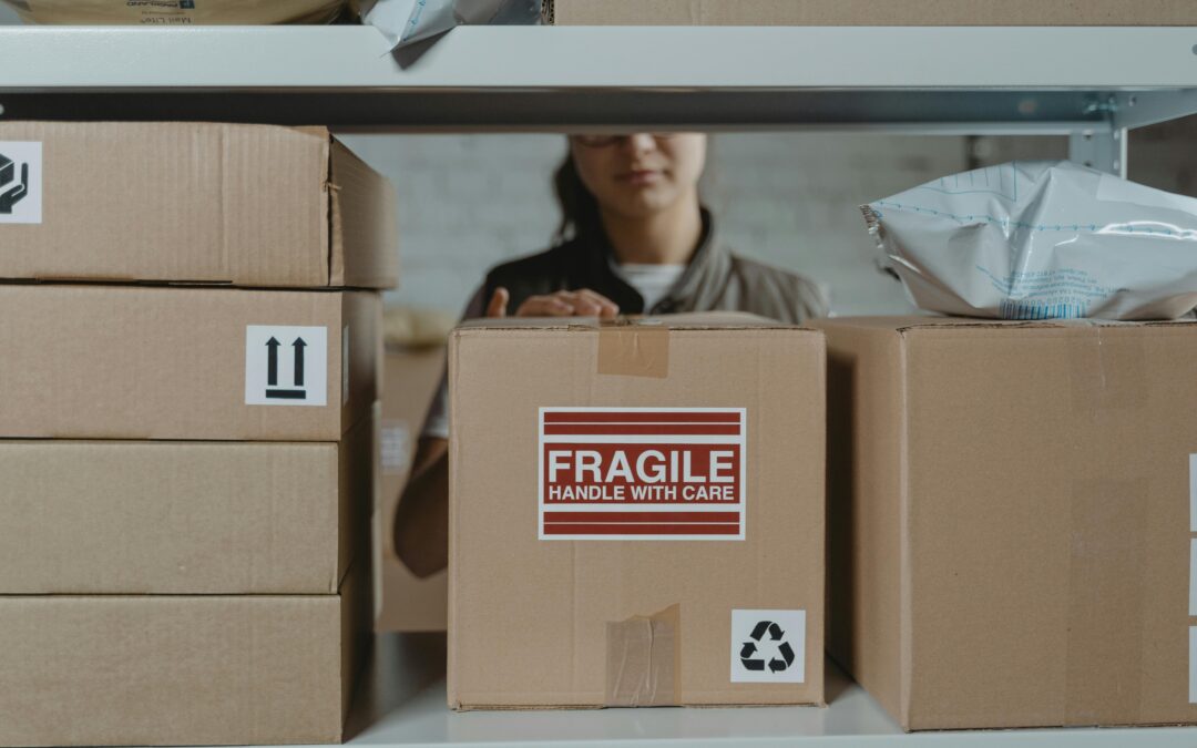 The Temperature-Controlled Advantage: Protecting Your Belongings from the North Shore Damp