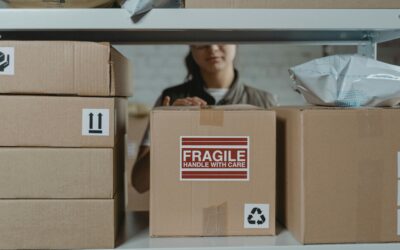 The Temperature-Controlled Advantage: Protecting Your Belongings from the North Shore Damp